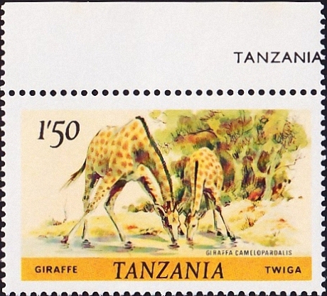  1985  .  (Giraffa camelopardalis) .  10,0 . (3) 